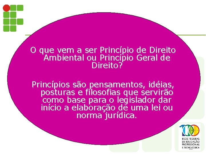 O que vem a ser Princípio de Direito Ambiental ou Princípio Geral de Direito?