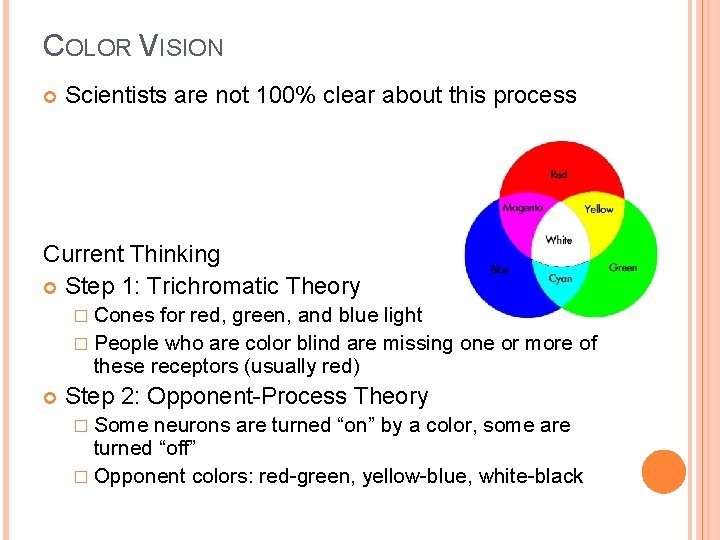 COLOR VISION Scientists are not 100% clear about this process Current Thinking Step 1: