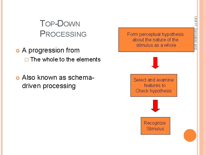  A progression from � The Form perceptual hypothesis about the nature of the