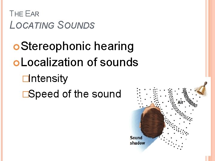 THE EAR LOCATING SOUNDS Stereophonic hearing Localization of sounds �Intensity �Speed of the sound THE EAR LOCATING SOUNDS Stereophonic hearing Localization of sounds �Intensity �Speed of the sound