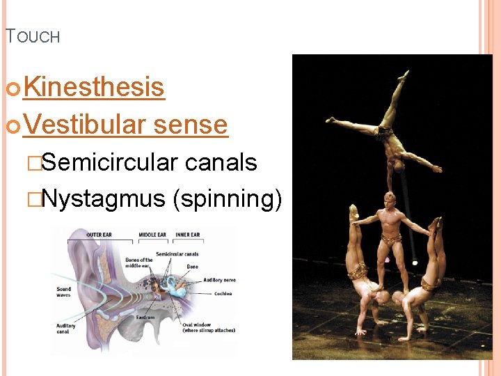TOUCH Kinesthesis Vestibular sense �Semicircular canals �Nystagmus (spinning) TOUCH Kinesthesis Vestibular sense �Semicircular canals �Nystagmus (spinning)