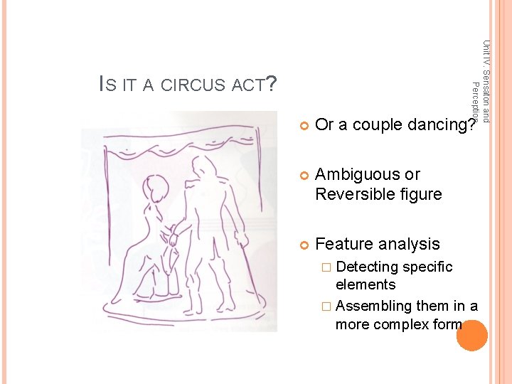 Unit IV. Sensaton and Perception IS IT A CIRCUS ACT? Or a couple dancing? Unit IV. Sensaton and Perception IS IT A CIRCUS ACT? Or a couple dancing?