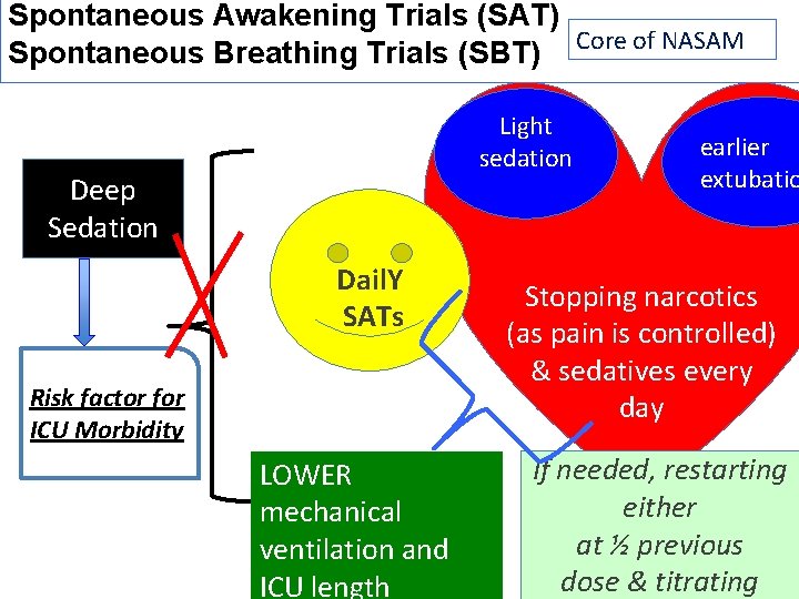 Spontaneous Awakening Trials (SAT) Core of NASAM Spontaneous Breathing Trials (SBT) Light sedation Deep