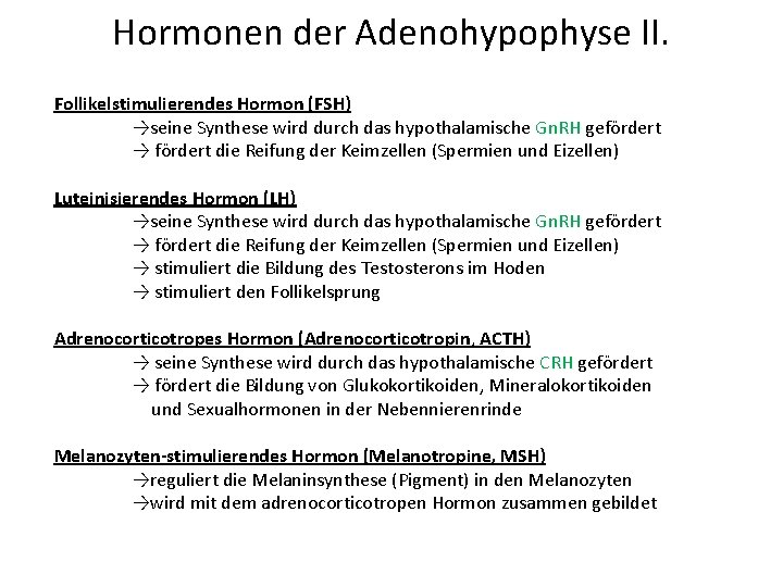 Hormonen der Adenohypophyse II. Follikelstimulierendes Hormon (FSH) →seine Synthese wird durch das hypothalamische Gn.