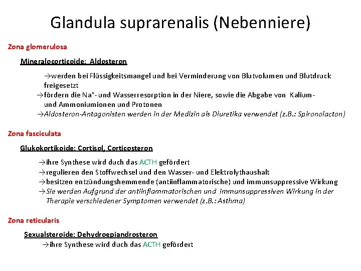 Glandula suprarenalis (Nebenniere) Zona glomerulosa Mineralocorticoide: Aldosteron →werden bei Flüssigkeitsmangel und bei Verminderung von