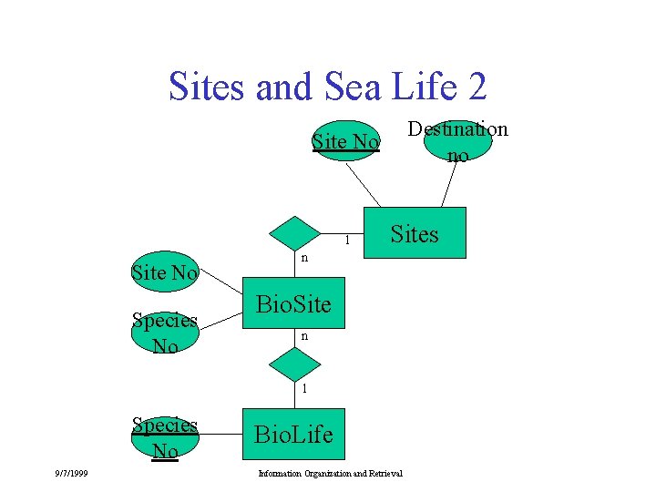 Sites and Sea Life 2 Destination no Site No 1 Site No Species No