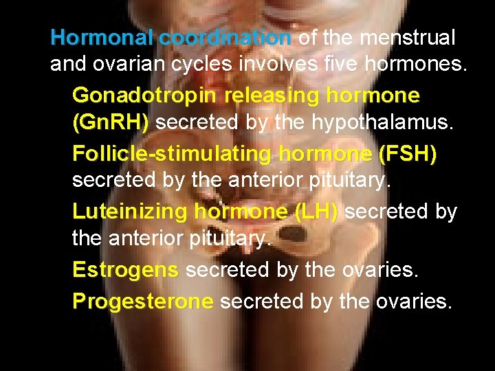 Hormonal coordination of the menstrual and ovarian cycles involves five hormones. Gonadotropin releasing hormone