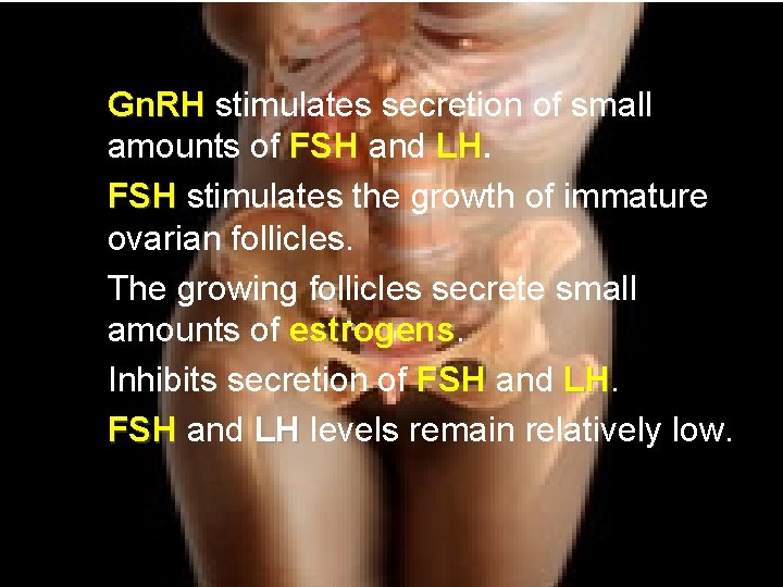 Gn. RH stimulates secretion of small amounts of FSH and LH. LH FSH stimulates