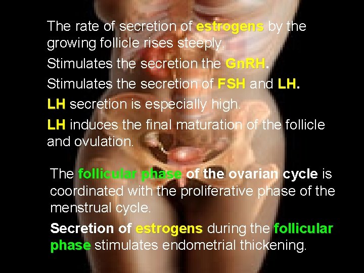 The rate of secretion of estrogens by the growing follicle rises steeply. Stimulates the