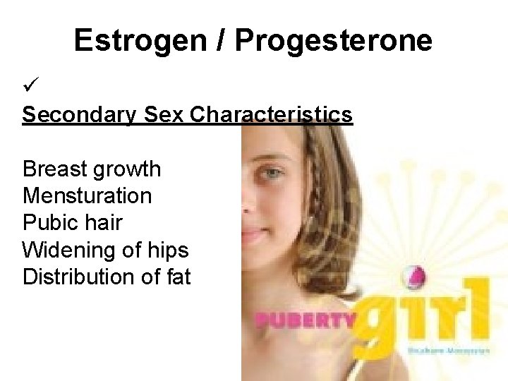 Estrogen / Progesterone ü Secondary Sex Characteristics Breast growth Mensturation Pubic hair Widening of