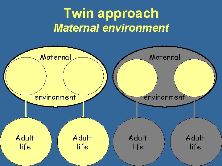 Twin approach Maternal environment Adult life 