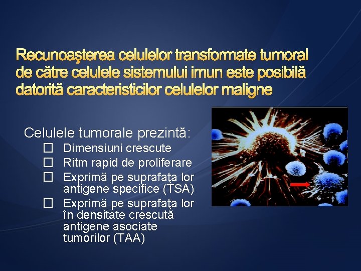 Celulele tumorale prezintă: � Dimensiuni crescute � Ritm rapid de proliferare � Exprimă pe