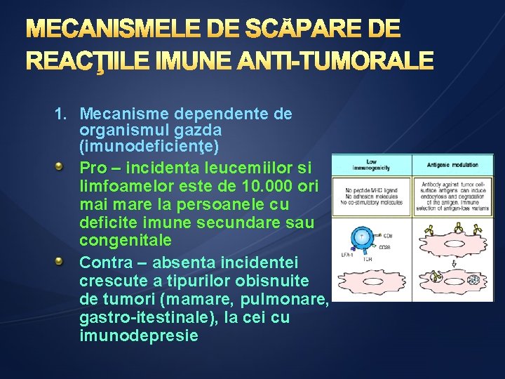 1. Mecanisme dependente de organismul gazda (imunodeficienţe) Pro – incidenta leucemiilor si limfoamelor este