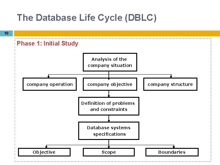 The Database Life Cycle (DBLC) 18 Phase 1: Initial Study Analysis of the company