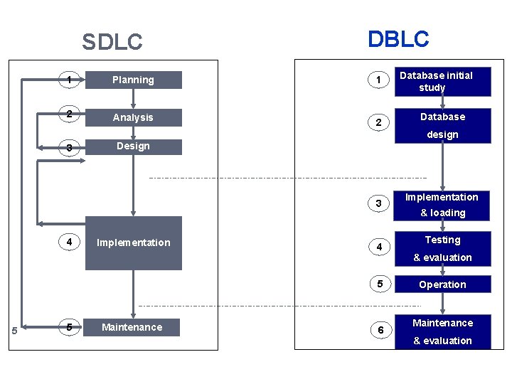 SDLC 1 Planning 2 Analysis DBLC 1 2 Database initial study Database design 3