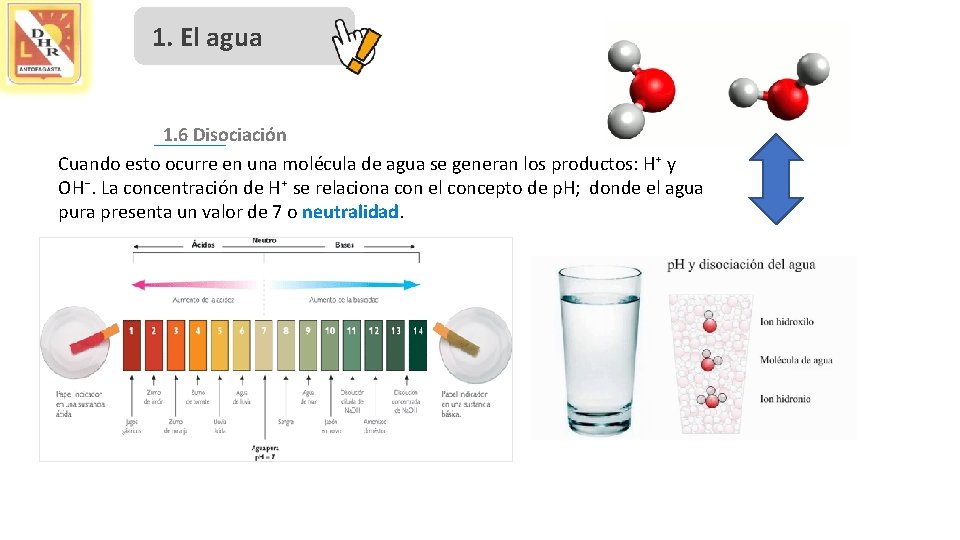 1. El agua 1. 6 Disociación Cuando esto ocurre en una molécula de agua