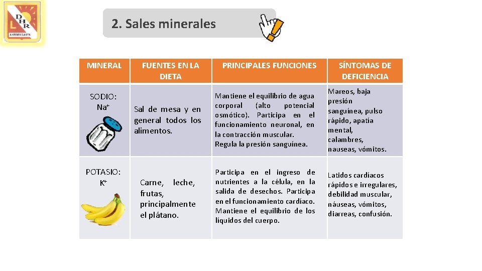 2. Sales minerales MINERAL SODIO: Na+ POTASIO: K+ FUENTES EN LA DIETA PRINCIPALES FUNCIONES