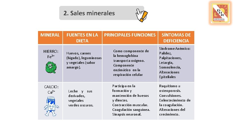 2. Sales minerales MINERAL HIERRO: Fe 3+ CALCIO: Ca 2+ FUENTES EN LA DIETA