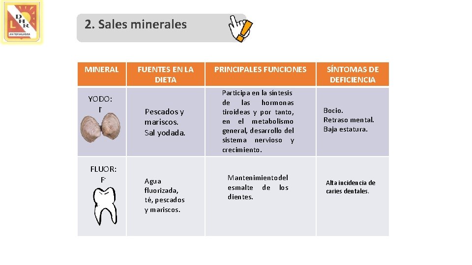 2. Sales minerales MINERAL YODO: I- FLUOR: F- FUENTES EN LA DIETA Pescados y