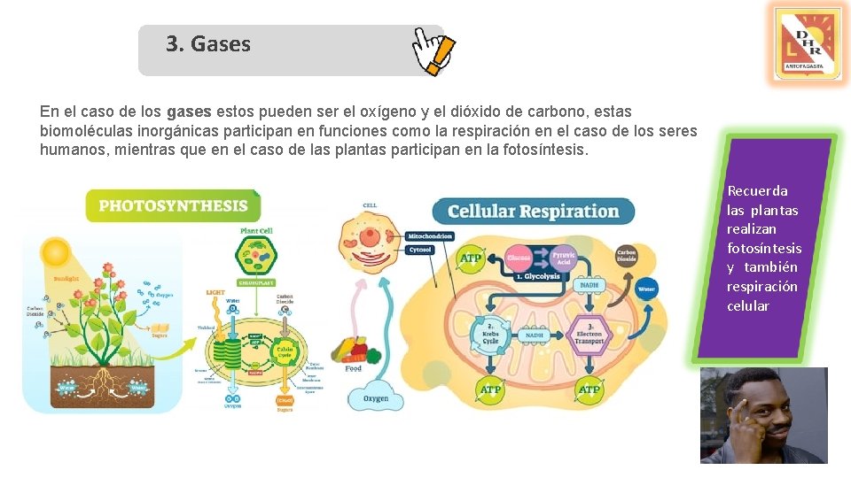 3. Gases En el caso de los gases estos pueden ser el oxígeno y