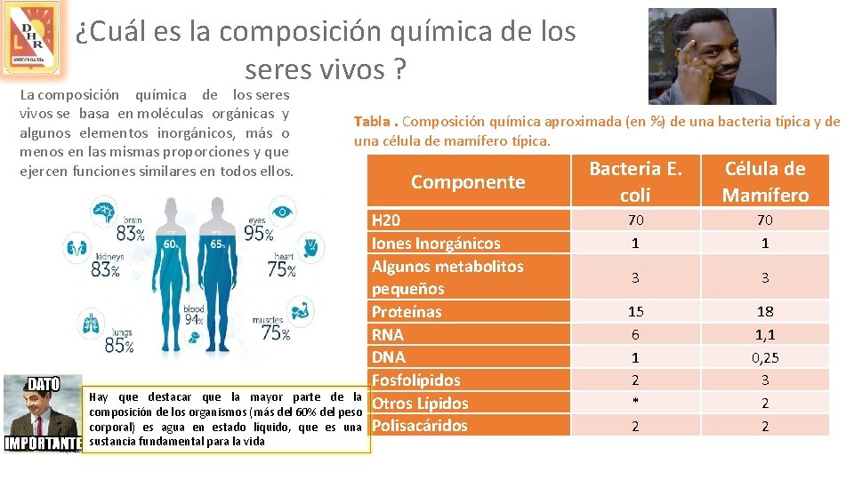 ¿Cuál es la composición química de los seres vivos ? La composición química de