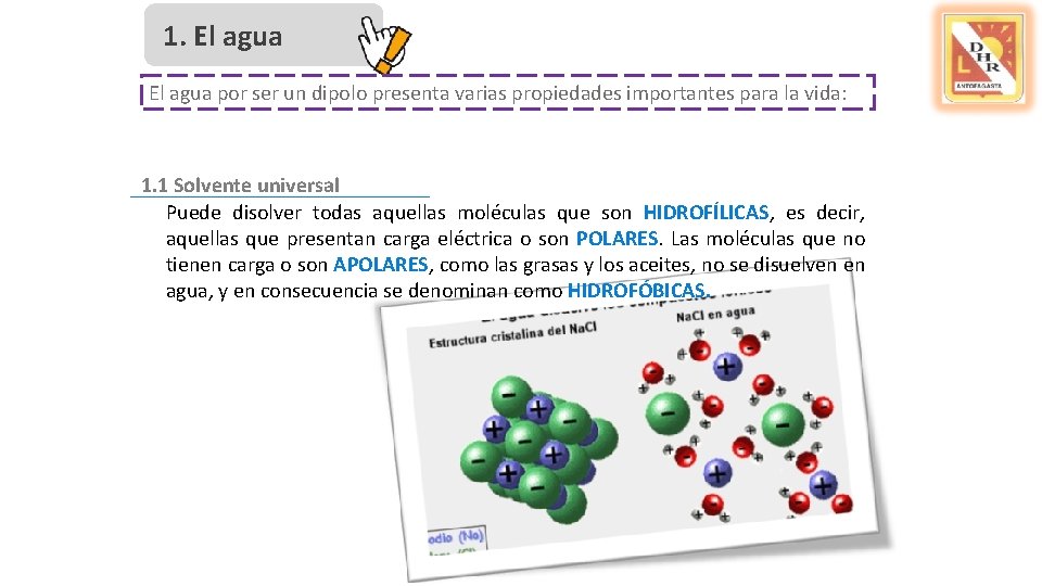 1. El agua por ser un dipolo presenta varias propiedades importantes para la vida: