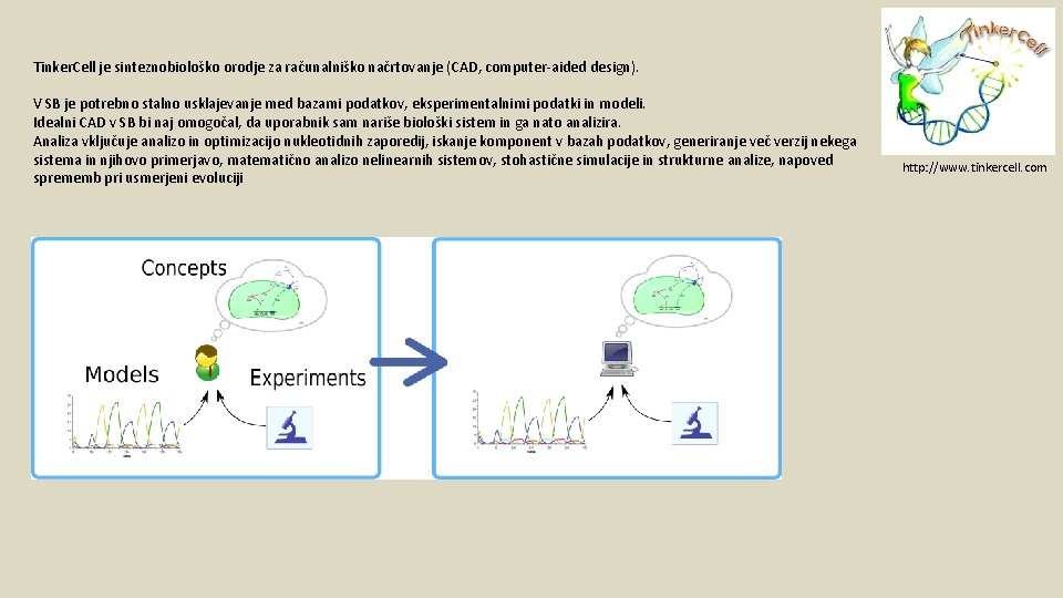 Tinker. Cell je sinteznobiološko orodje za računalniško načrtovanje (CAD, computer-aided design). V SB je