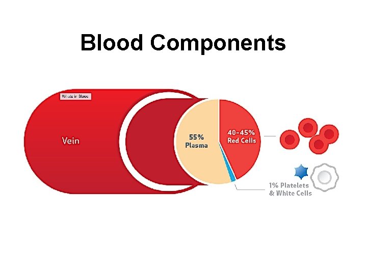 Blood Components 
