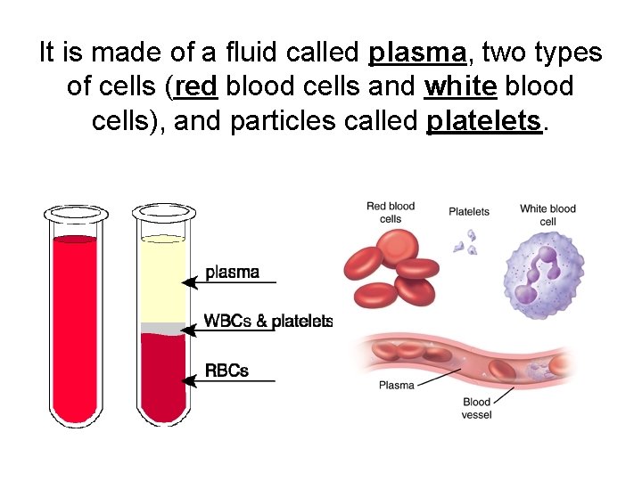 It is made of a fluid called plasma, two types of cells (red blood