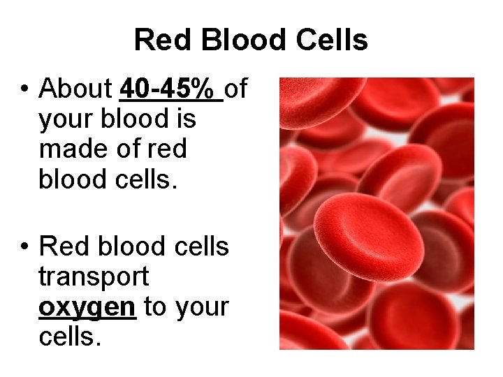 Red Blood Cells • About 40 -45% of your blood is made of red