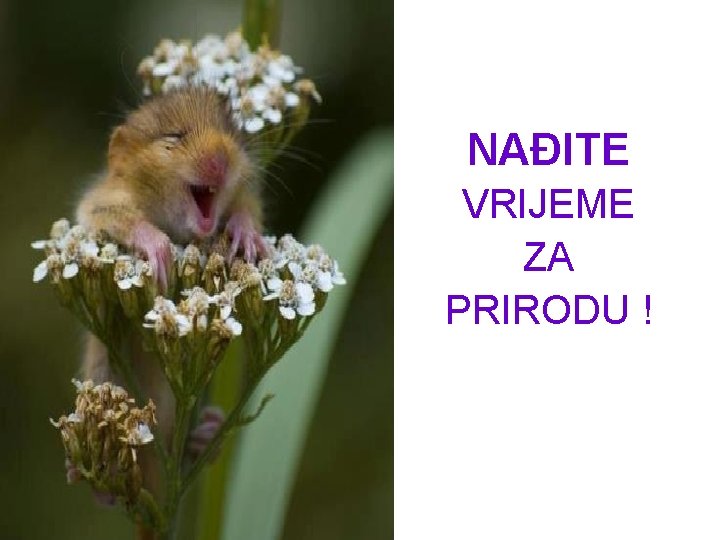 NAĐITE VRIJEME ZA PRIRODU ! 