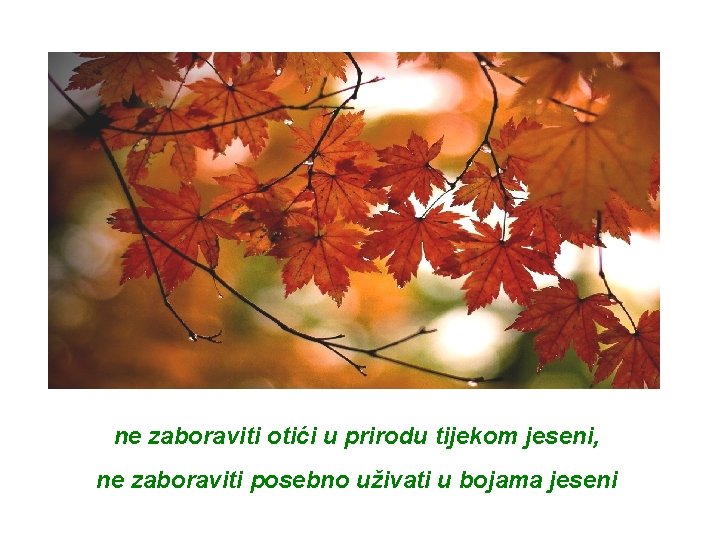 ne zaboraviti otići u prirodu tijekom jeseni, ne zaboraviti posebno uživati u bojama jeseni