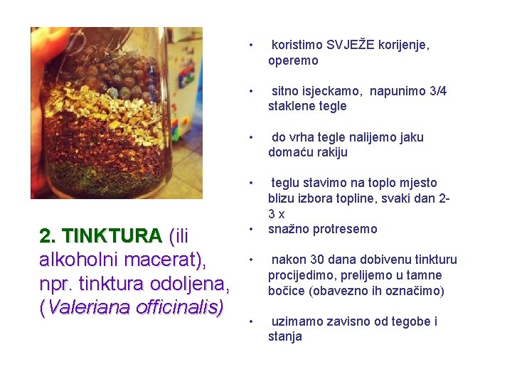 2. TINKTURA (ili alkoholni macerat), npr. tinktura odoljena, (Valeriana officinalis) • koristimo SVJEŽE korijenje,