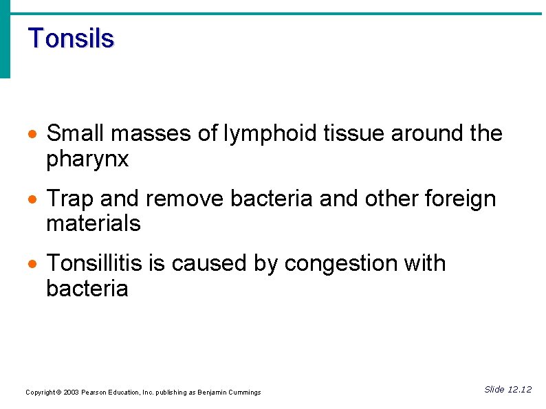 Tonsils Small masses of lymphoid tissue around the pharynx Trap and remove bacteria and