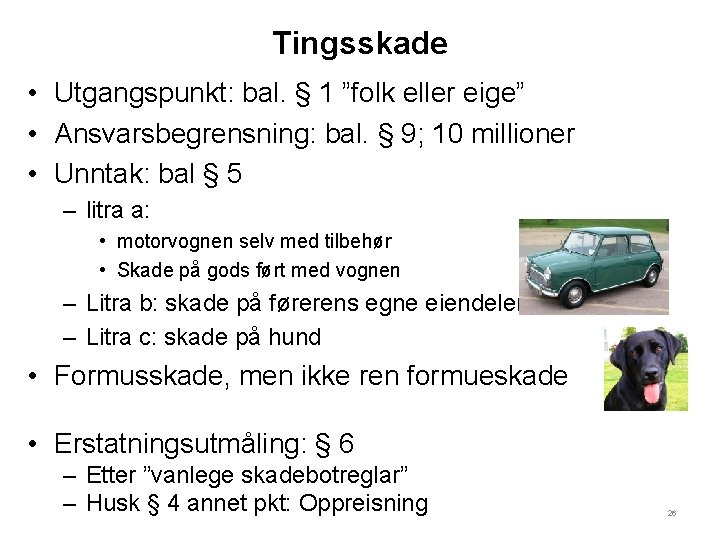 Tingsskade • Utgangspunkt: bal. § 1 ”folk eller eige” • Ansvarsbegrensning: bal. § 9;