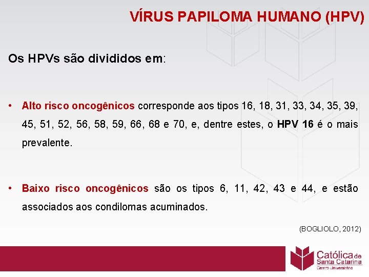 VÍRUS PAPILOMA HUMANO (HPV) Os HPVs são divididos em: • Alto risco oncogênicos corresponde