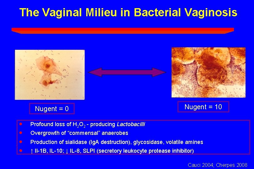 The Vaginal Milieu in Bacterial Vaginosis Nugent = 0 · · Nugent = 10