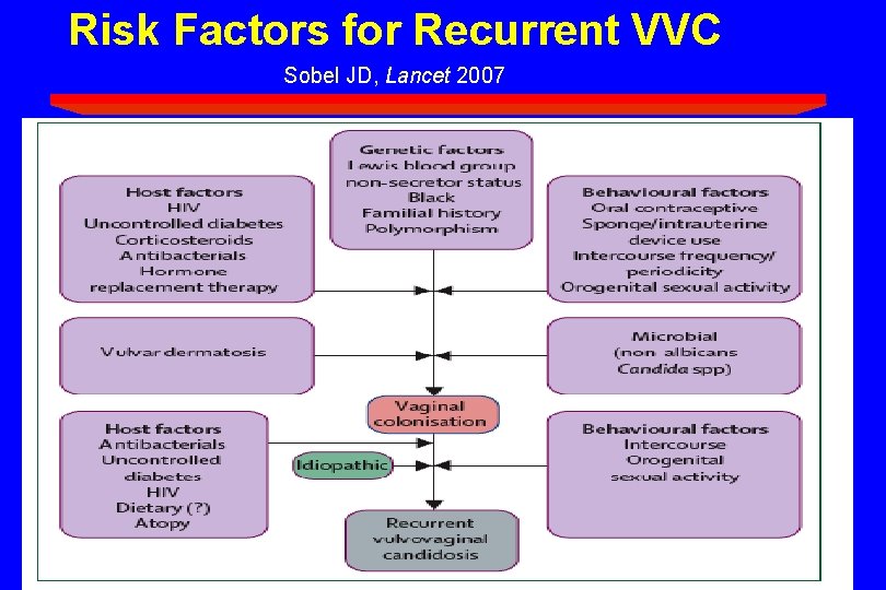 Risk Factors for Recurrent VVC Sobel JD, Lancet 2007 