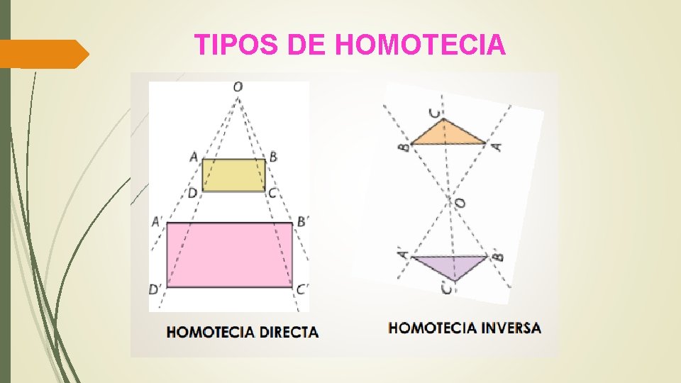 TIPOS DE HOMOTECIA 