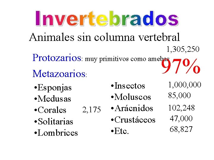Animales sin columna vertebral 1, 305, 250 Protozarios: muy primitivos como amebas Metazoarios: 97%