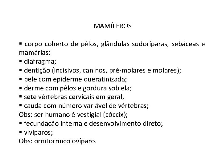 MAMÍFEROS § corpo coberto de pêlos, glândulas sudoríparas, sebáceas e mamárias; § diafragma; §
