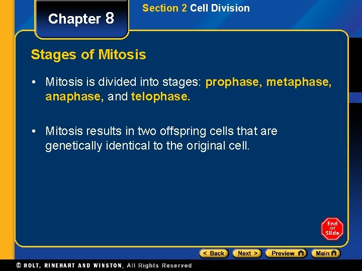 Chapter 8 Section 2 Cell Division Stages of Mitosis • Mitosis is divided into