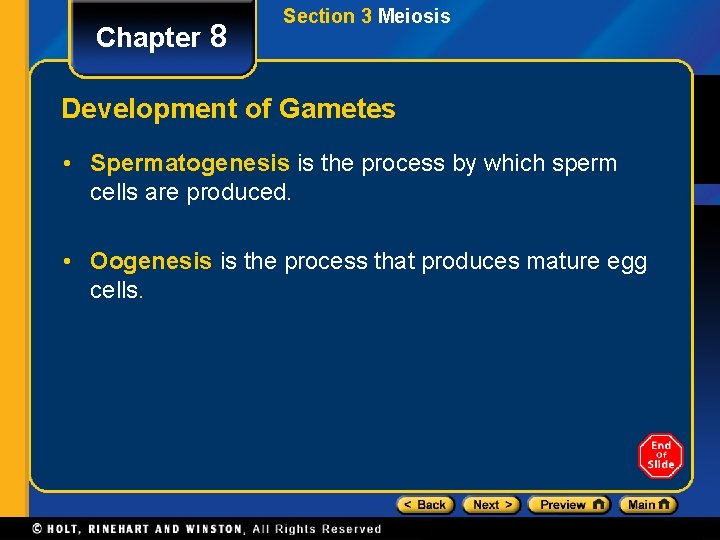 Chapter 8 Section 3 Meiosis Development of Gametes • Spermatogenesis is the process by