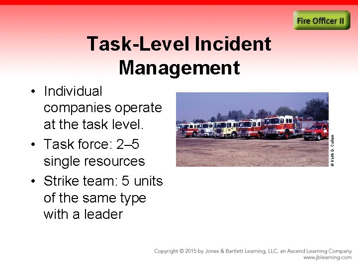  • Individual companies operate at the task level. • Task force: 2– 5