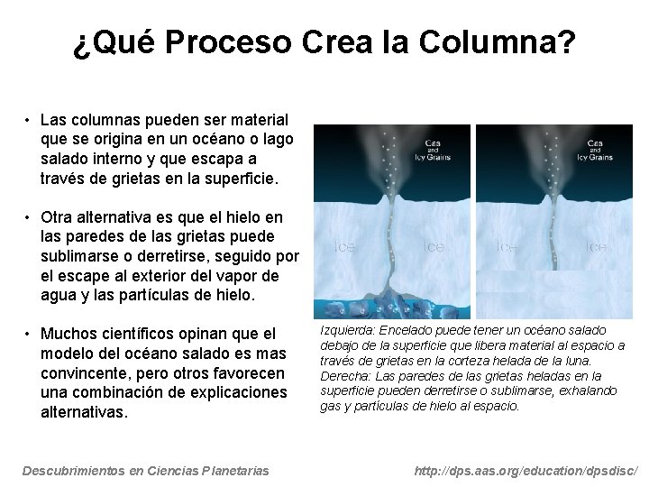 ¿Qué Proceso Crea la Columna? • Las columnas pueden ser material que se origina