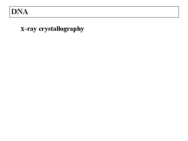 DNA x-ray crystallography 