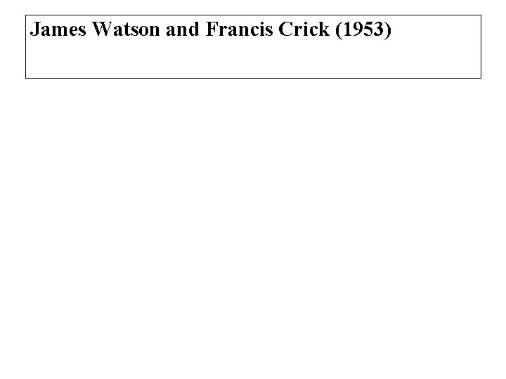 James Watson and Francis Crick (1953) 