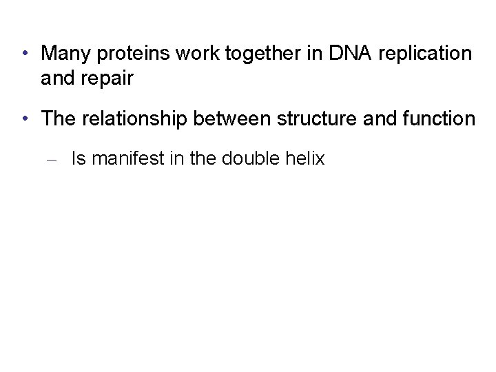  • Many proteins work together in DNA replication and repair • The relationship