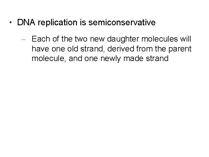  • DNA replication is semiconservative – Each of the two new daughter molecules