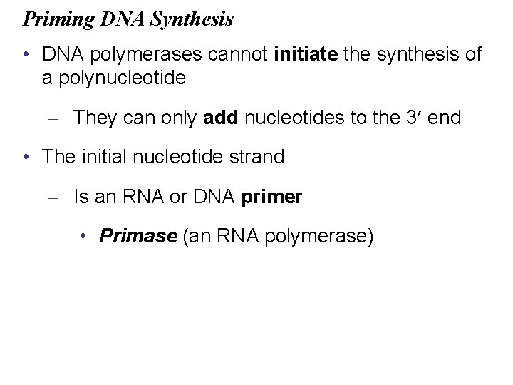 Priming DNA Synthesis • DNA polymerases cannot initiate the synthesis of a polynucleotide –
